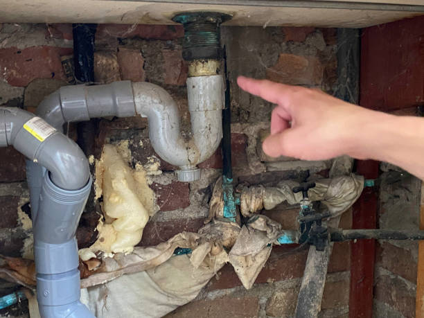 Best Mold removal after water damage  in Sconsin Rapids, WI