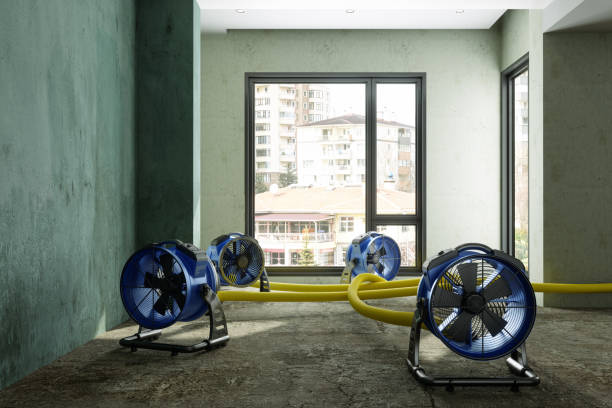 Best Professional water damage repair  in Sconsin Rapids, WI